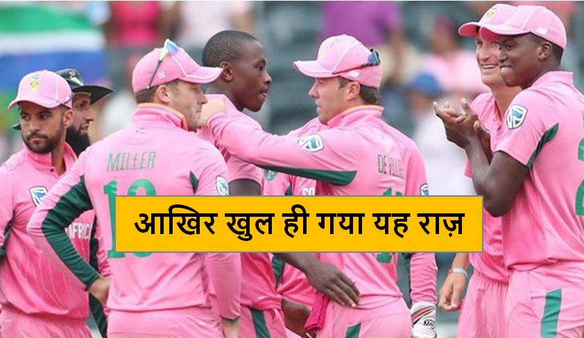 South Africa Pink Jersey Reason