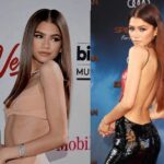 Zendaya Biography of Hollywood's Brightest Star